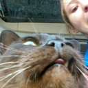 thehungry-games avatar