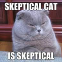 thehuntresslair avatar