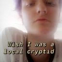 thehuntressofdreams avatar