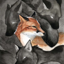thehurtfox avatar