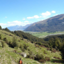 thehymnoftheworld avatar