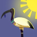 theibisbird avatar