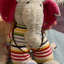 theicequeen623ggg avatar