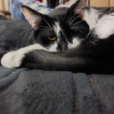 theimmortalcorpse avatar