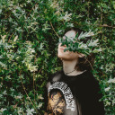 theincommunicablepast avatar