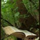 theintrovertsbooks avatar