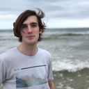 theinvadingdingo avatar