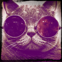 theirjustghosts avatar