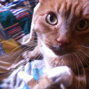 theirmajestythursday avatar