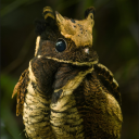thejabber-talkey avatar