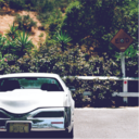 thejapanesehouse1 avatar