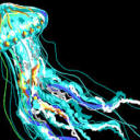 thejellyfish1234 avatar