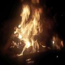 thejestering248 avatar