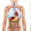 thejoysofanatomy avatar