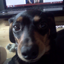 thejustarandomperson avatar