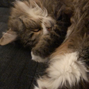 thekatarcher-blog avatar