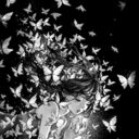 thekawaiibutterflygirl avatar