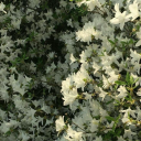 thekeeperofbalance avatar