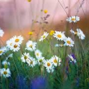 thekeytomyheartisinparis avatar