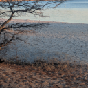 thekillingmooon avatar