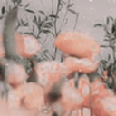 thekindnessnet avatar