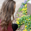 thekinghasgonemad avatar