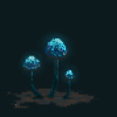 thekingofshrooms avatar