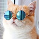 thekitteninlove avatar