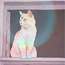 thekittyfromouterspace-blog avatar