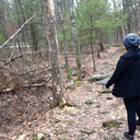 theknottyknitter avatar