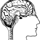 theknowgasm-blog avatar