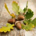 thelaberinthoftheunknownmelody avatar