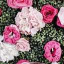 theladybradybunch avatar