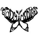 theladymorphos avatar