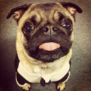 theladytimothy avatar