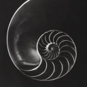 thelagoonnaiad avatar