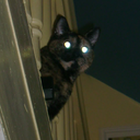 thelakeofthehand avatar