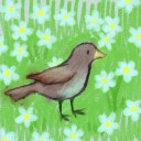 thelastbirdlord avatar