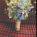thelastfallleaf-blog avatar