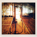 thelastnightonearth avatar