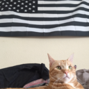 thelasttrainout avatar