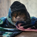 thelasttreeoctopus avatar