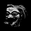 thelaughofthemedusa avatar