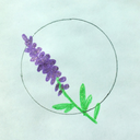 thelavenderbulletjournal avatar