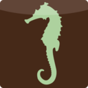 thelbdseahorses avatar