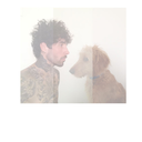 theleastyoucando avatar