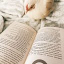 thelectiophilelibrary avatar