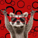 theleftycanadianradical avatar