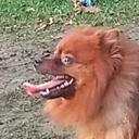 thelegend1985627 avatar