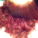 thelegendofthegeek avatar